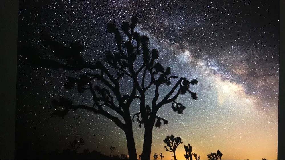 Joshua Tree, Milky Way